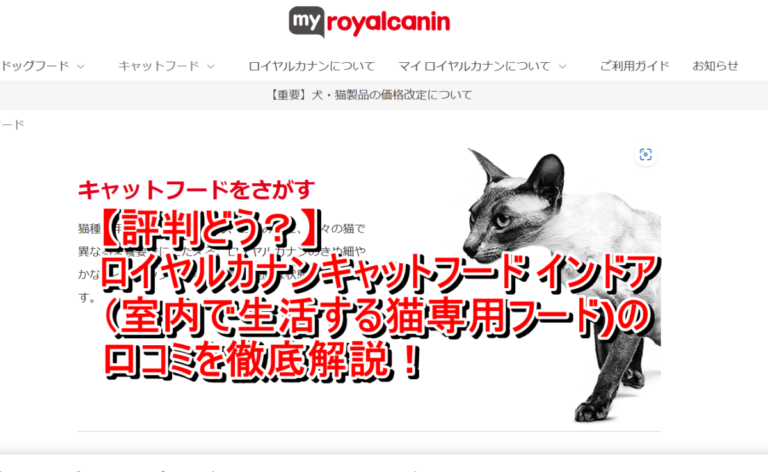 出典：イメージ：公式サイト