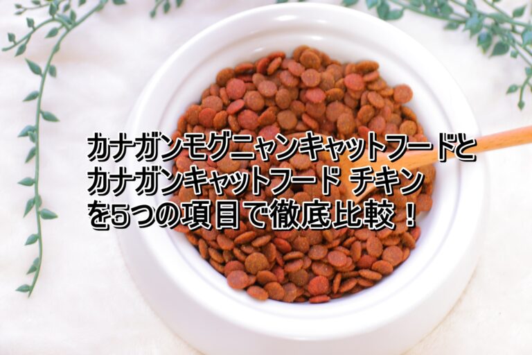 出典：イメージ：モグニャン　カナガンキャットフードチキン
