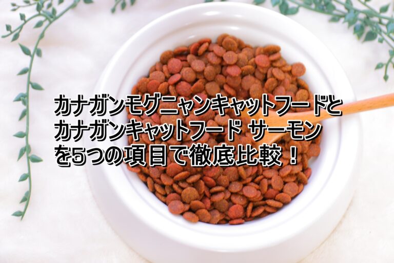 出典：イメージ：モグニャン　カナガンキャットフードサーモン