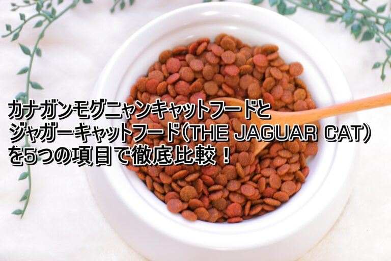 出典：イメージ：モグニャン　ジャガーキャットフード