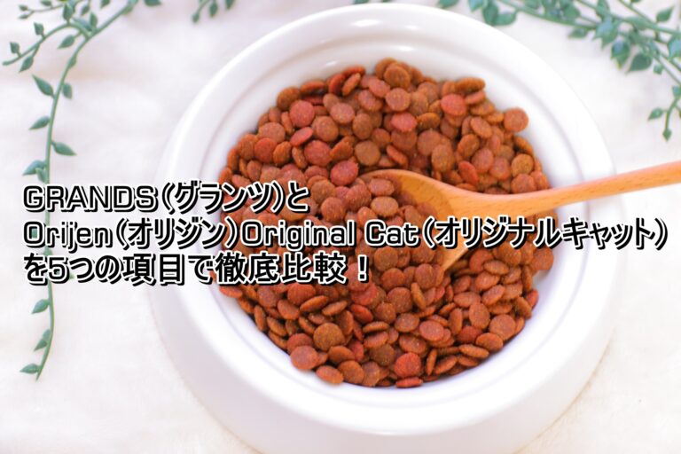 出典：イメージ：GRANDS　オリジナルキャット