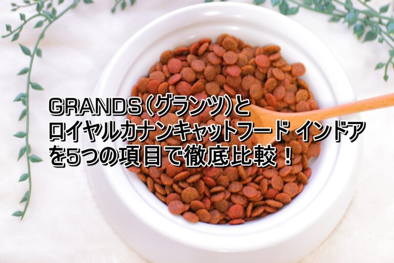 出典：イメージ：GRANDS　ロイヤルカナンキャットフードインドア