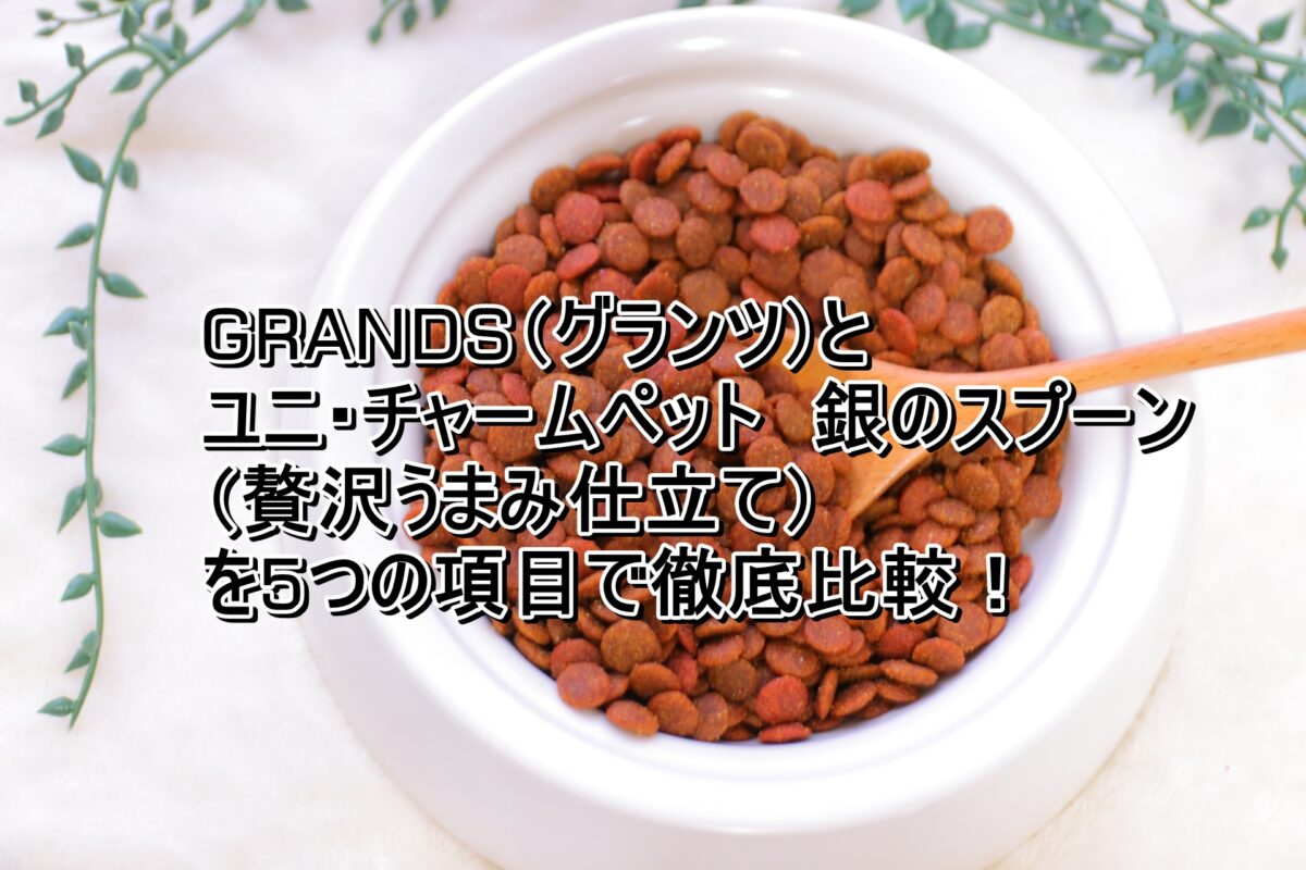 GRANDS　銀のスプーン（贅沢うまみ仕立て）