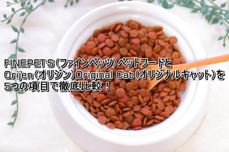 出典：イメージ：FINEPET'S　オリジンオリジナルキャット