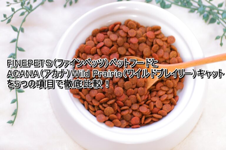 出典：イメージ：FINEPET'S　アカナワイルドプレイリーキャット