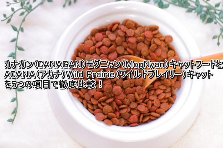 出典：イメージ：キャットフードおすすめ10選を人気の20商品から徹底比較