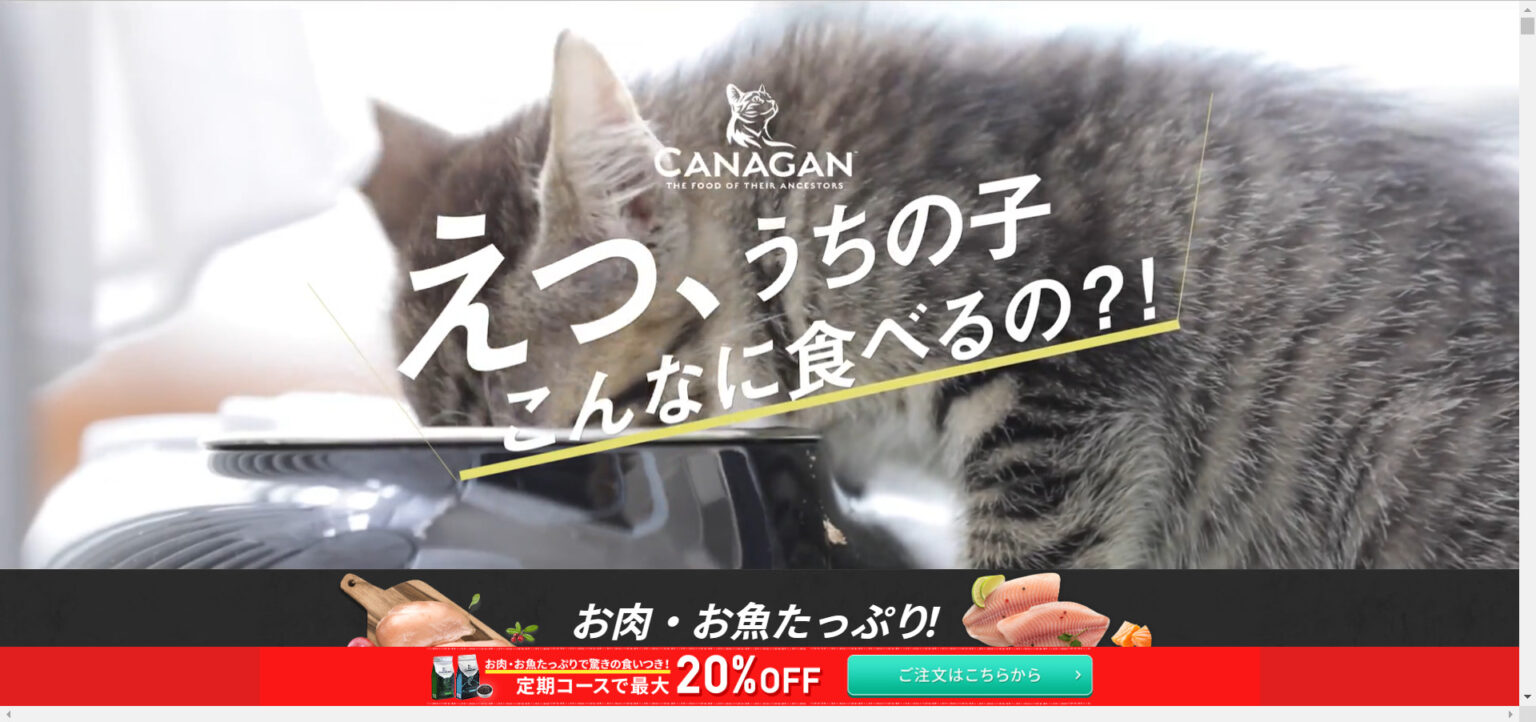 カナガン（CANAGAN）キャットフードチキンを通販購入できる最安値はAmazon？楽天市場？【販売店徹底比較！】