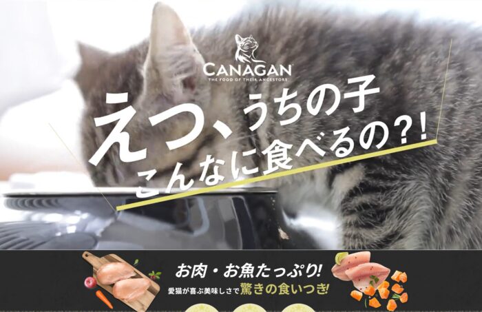 出典:イメージ:公式サイト