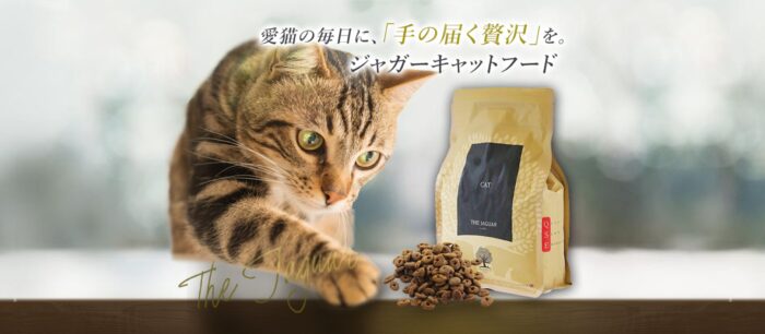 出典:イメージ:公式サイト